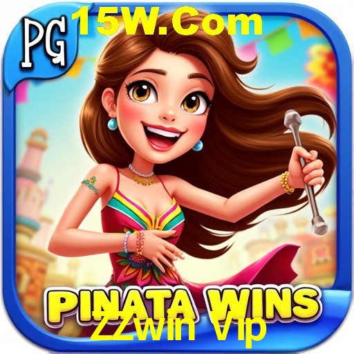 Security Systems ZZwin Vip