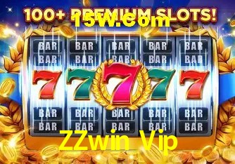 Security Systems ZZwin Vip